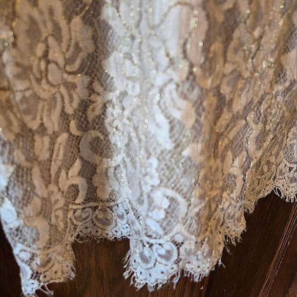 Banana Republic Floral Lace Metallic  Skirt Sz 2 - Picture 4 of 11